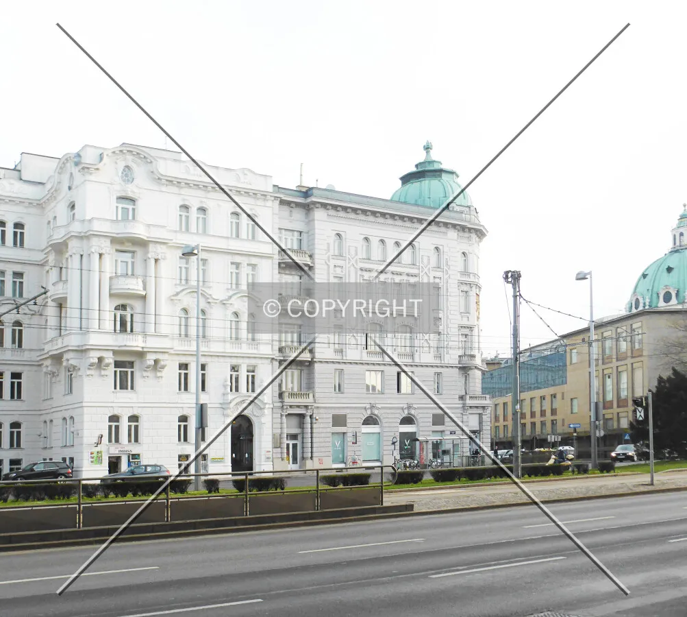 Photo 144-571-493