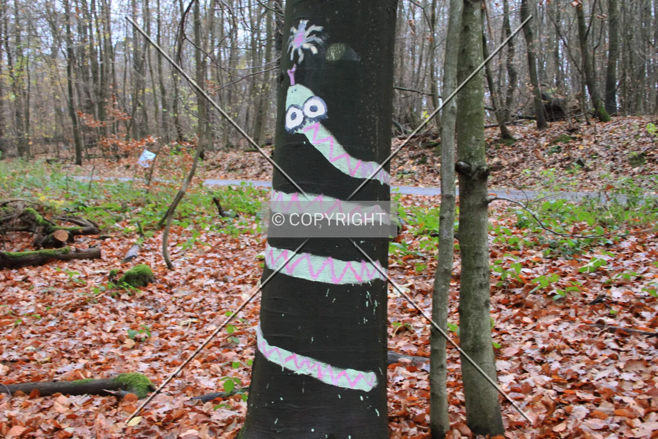 Snake on a tree