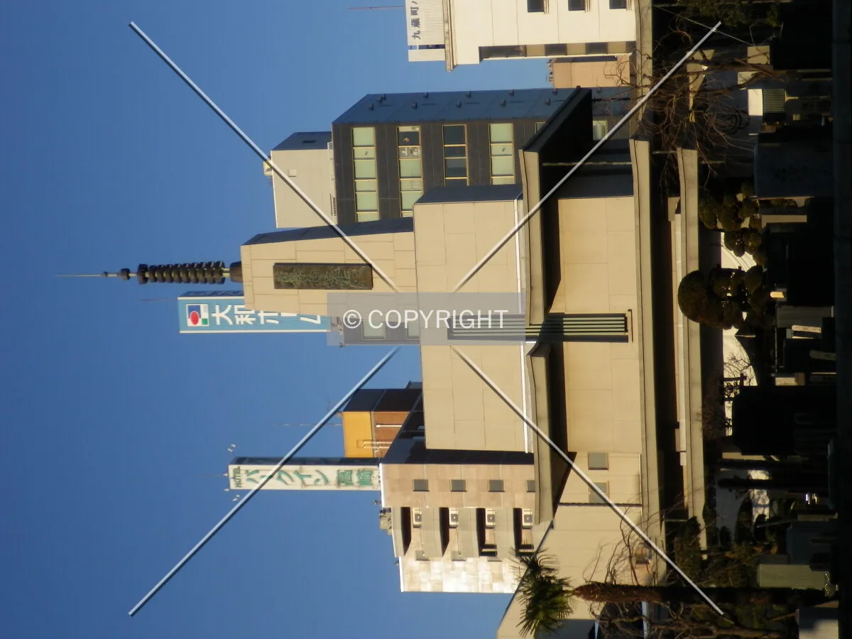 Photo 145-136-440