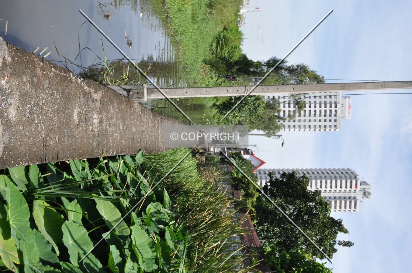 Photo 145-188-339