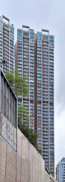 Photo 145-234-449