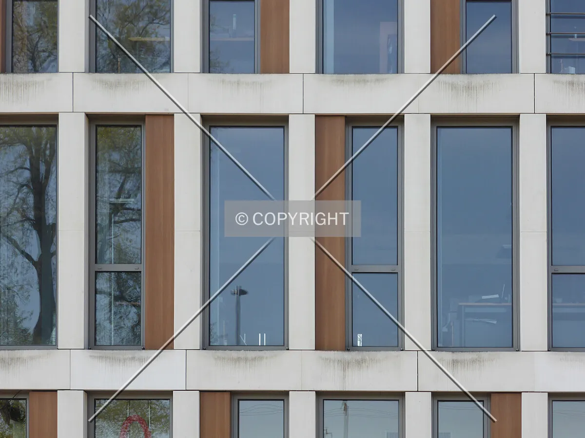 Photo 145-238-204