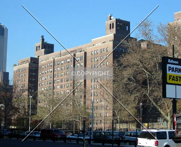 View from the east