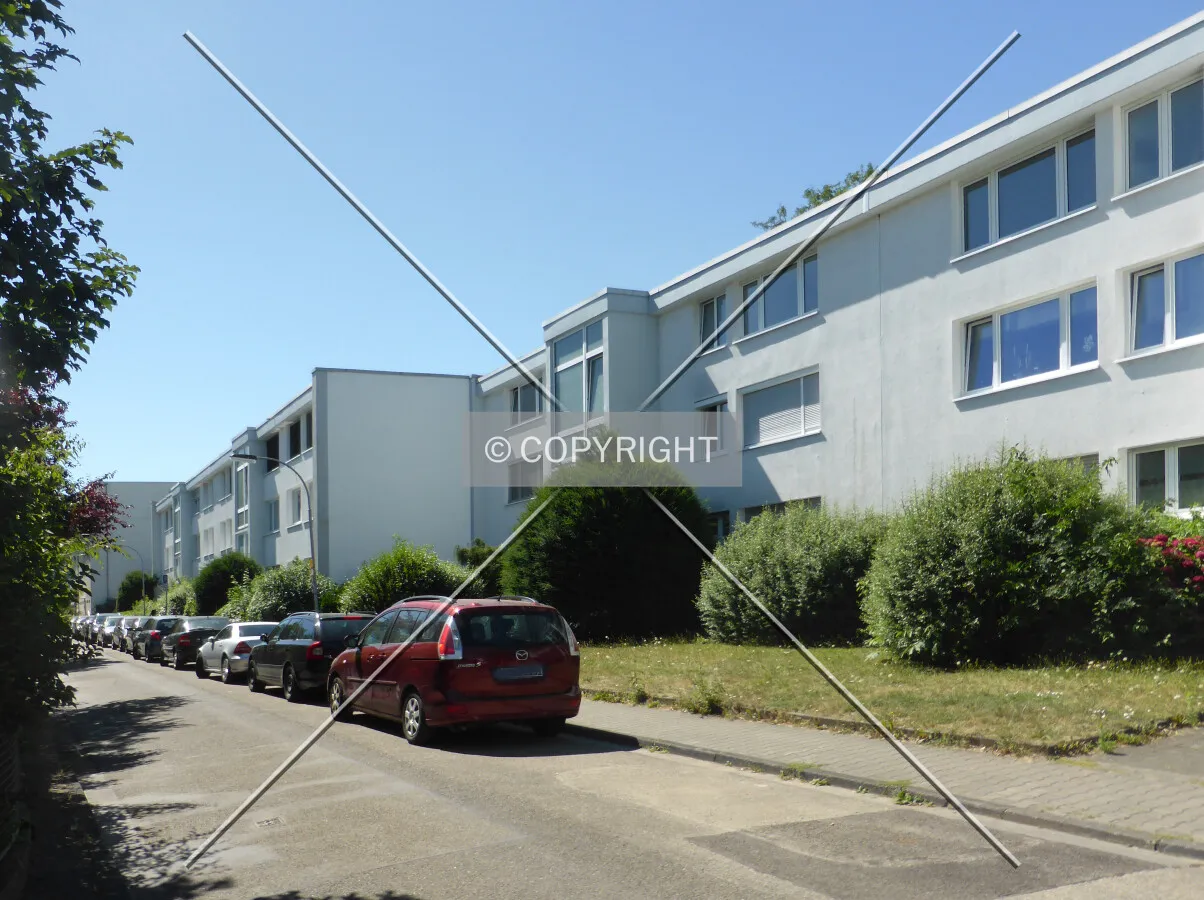 Photo 145-250-200