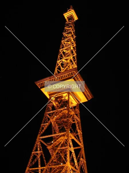 Photo 145-421-199