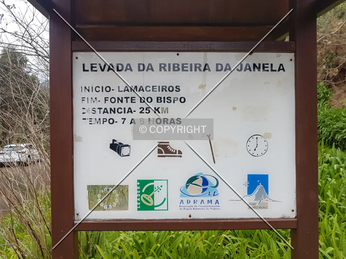 Levada da Ribeira da Janela