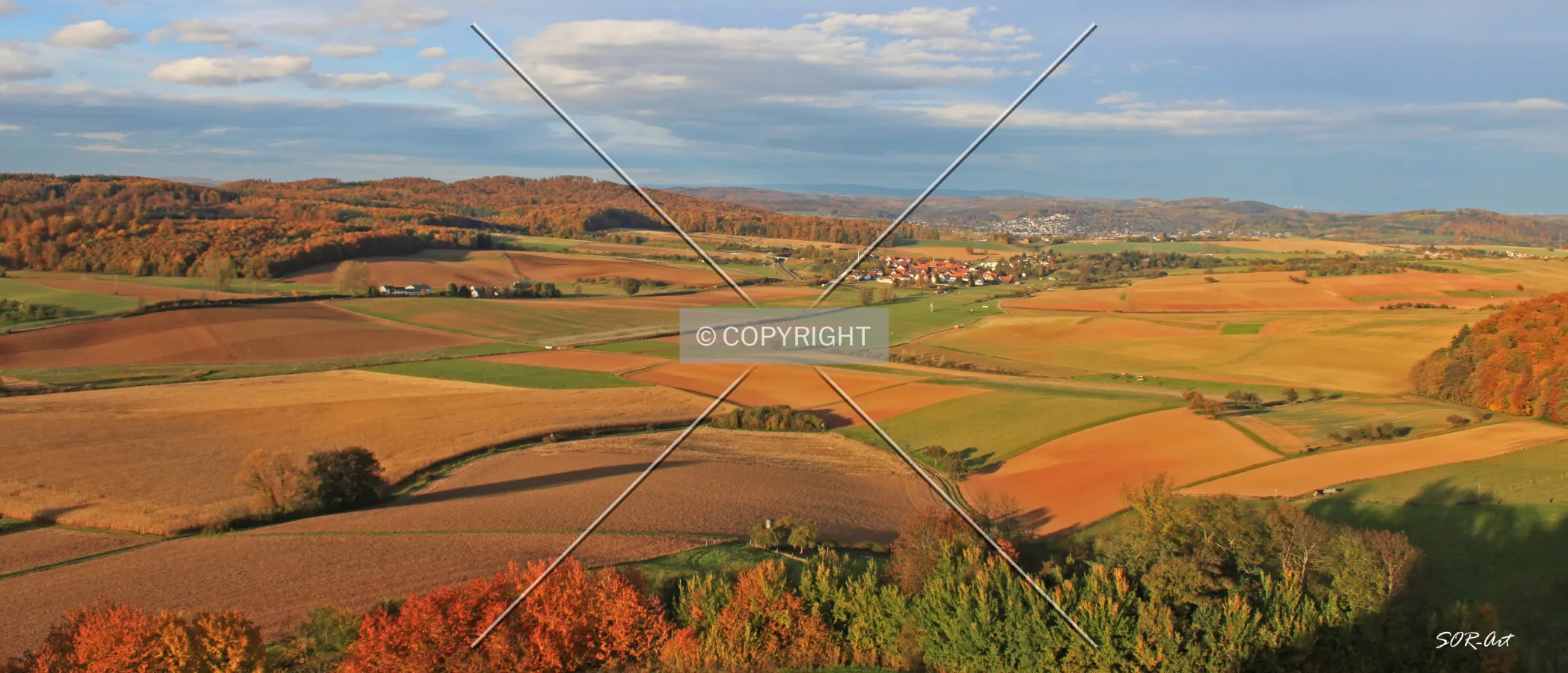 Photo 145-595-936