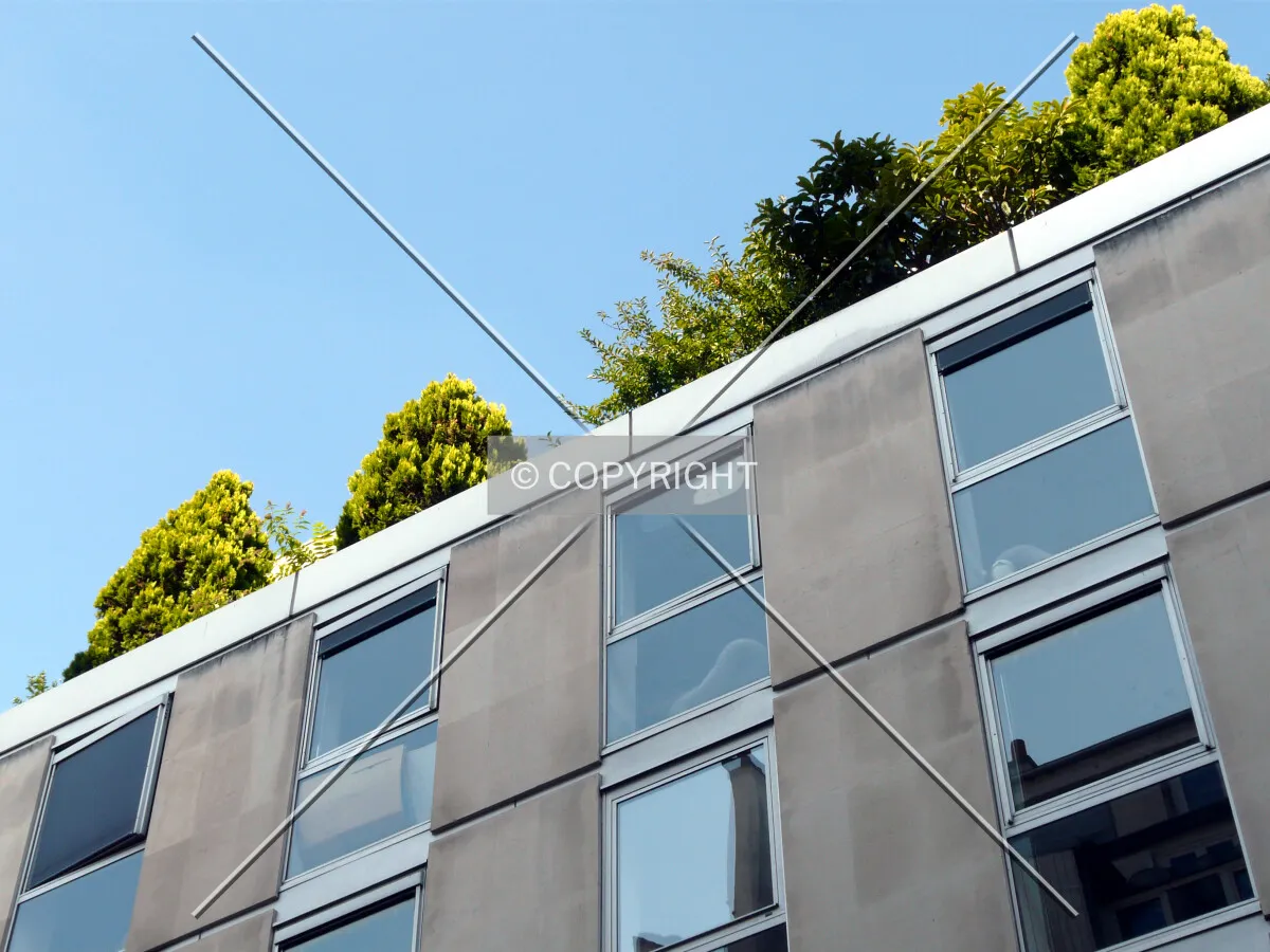 Green roof on the first setback