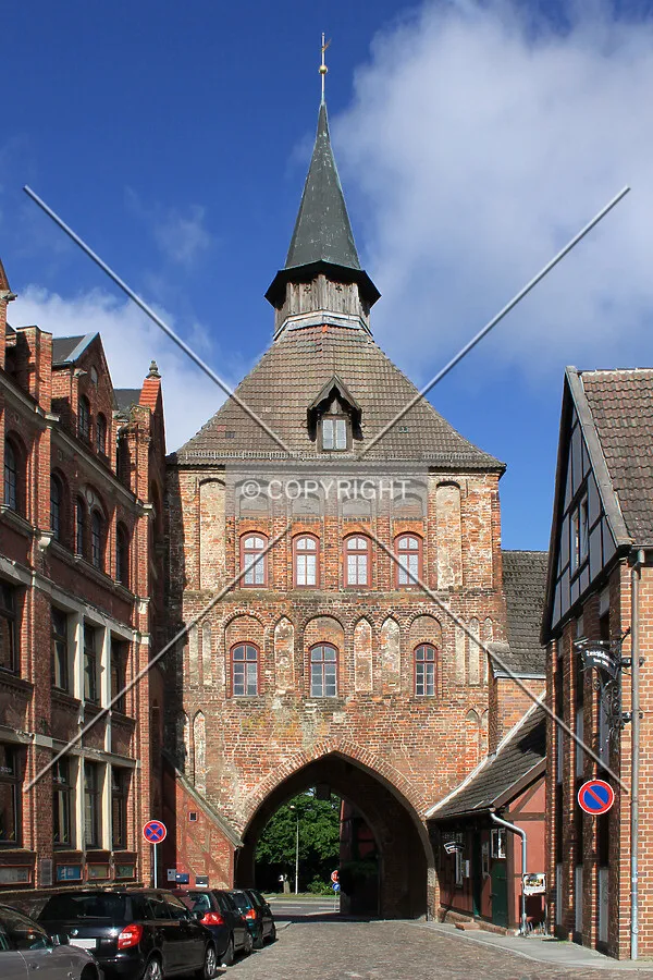 Photo 145-719-268