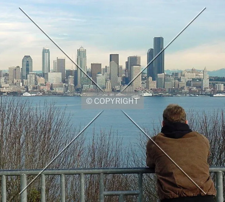 Favorite vantage point in West Seattle