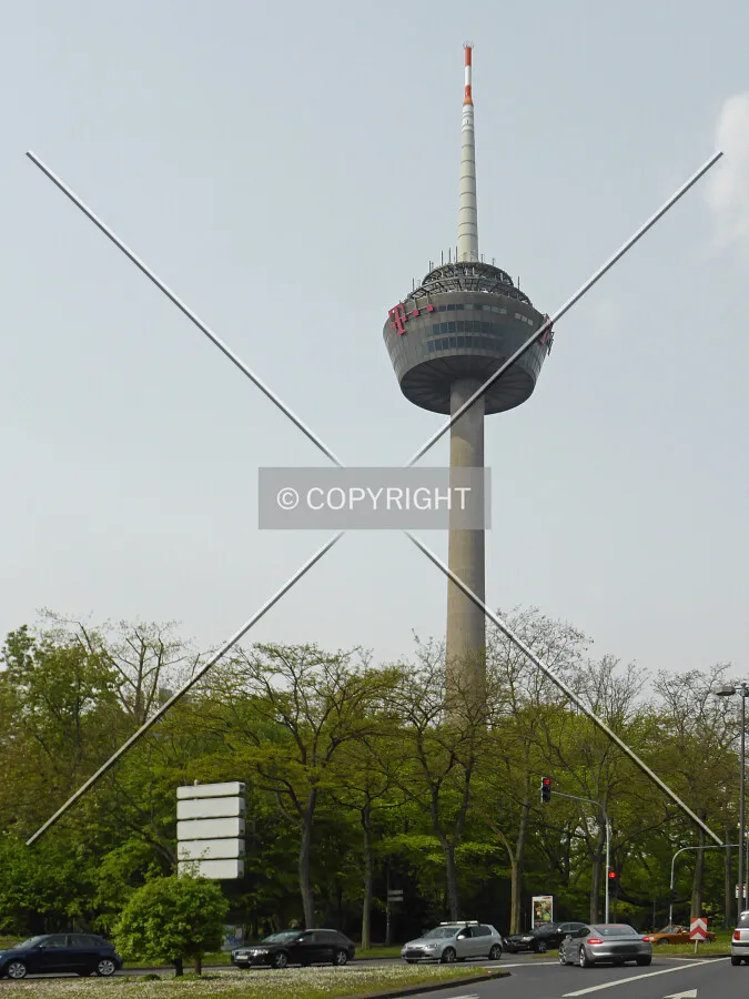 Photo 146-212-561