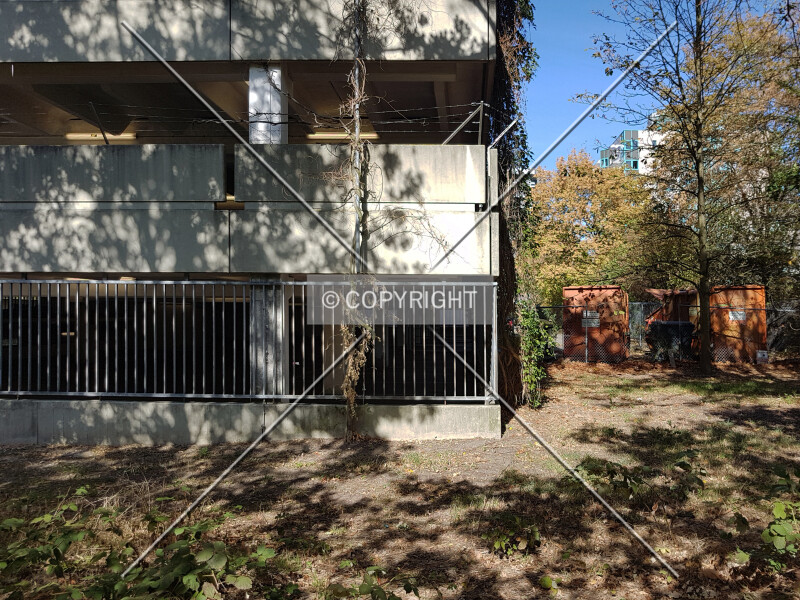 Photo 146-233-218
