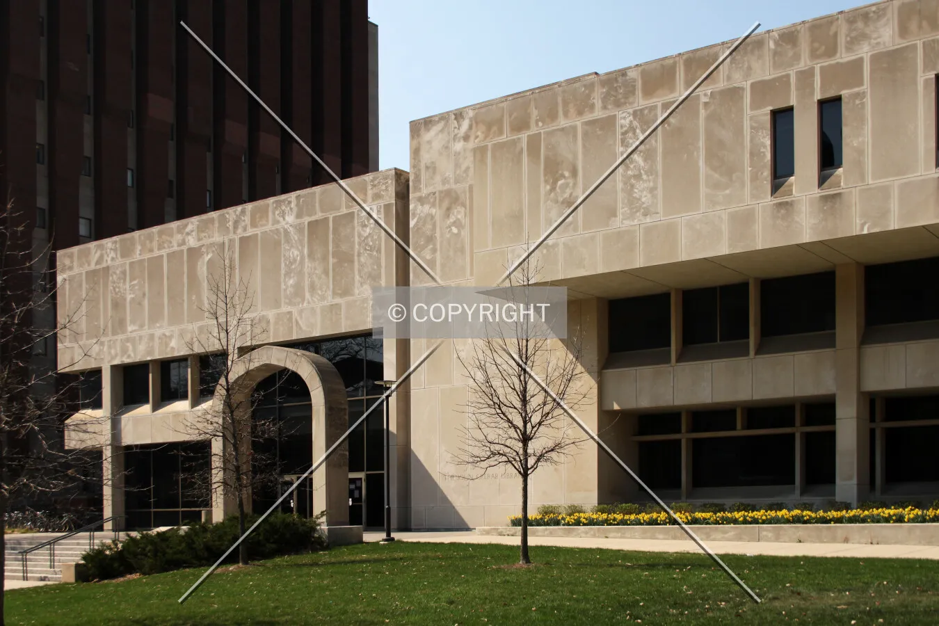 Photo 146-334-560