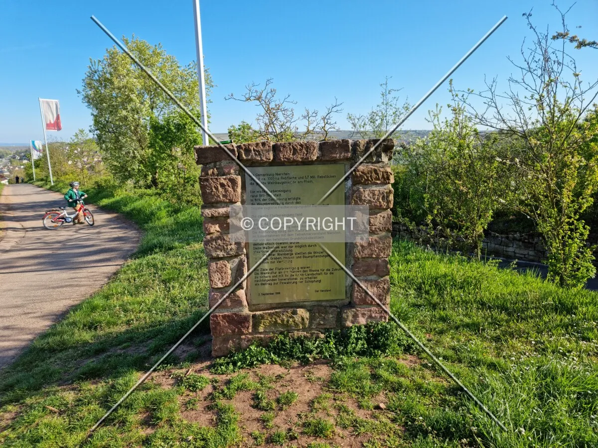 Photo 146-337-964