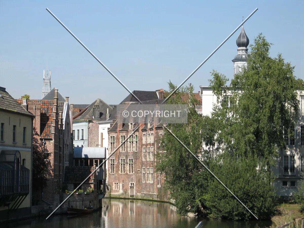 View on the Lieve branch