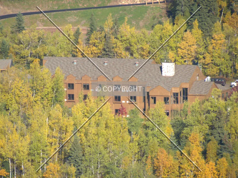 Photo 146-374-901
