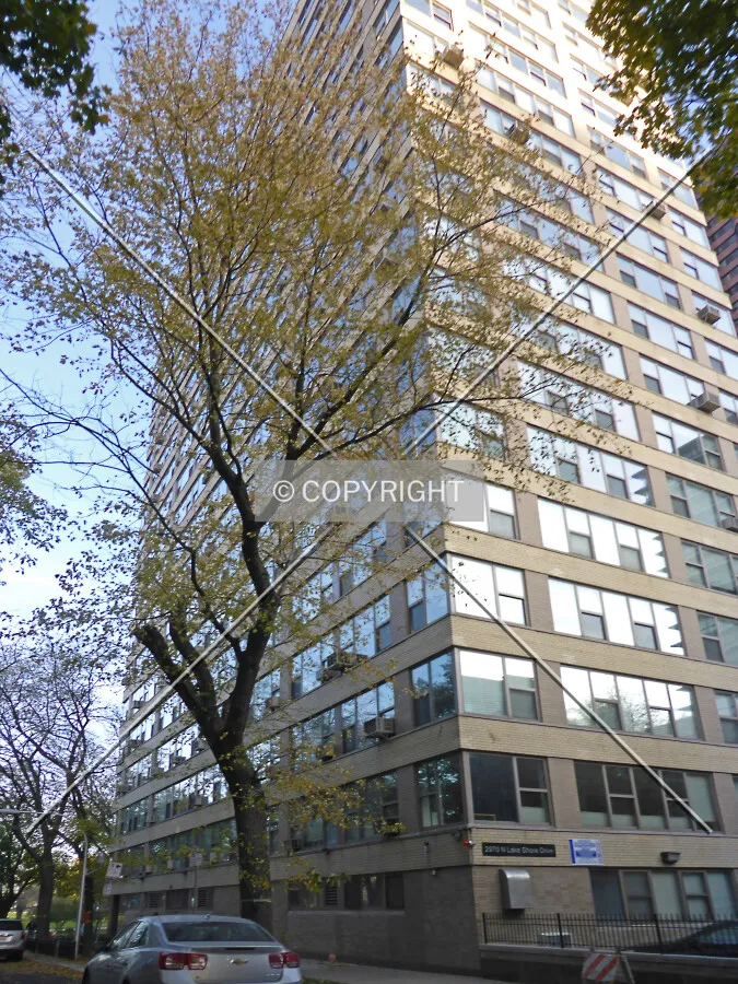 Photo 146-380-455
