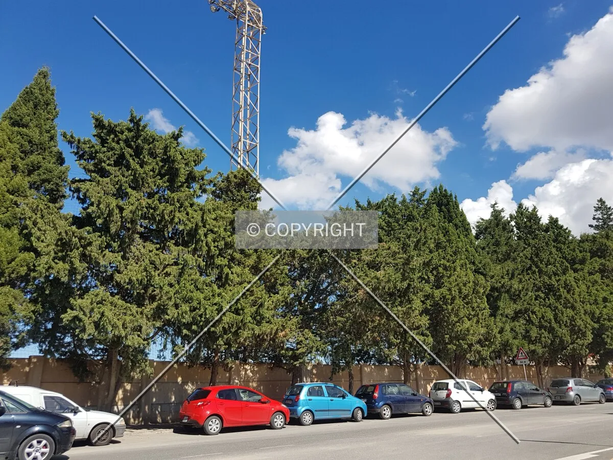 Photo 146-424-636