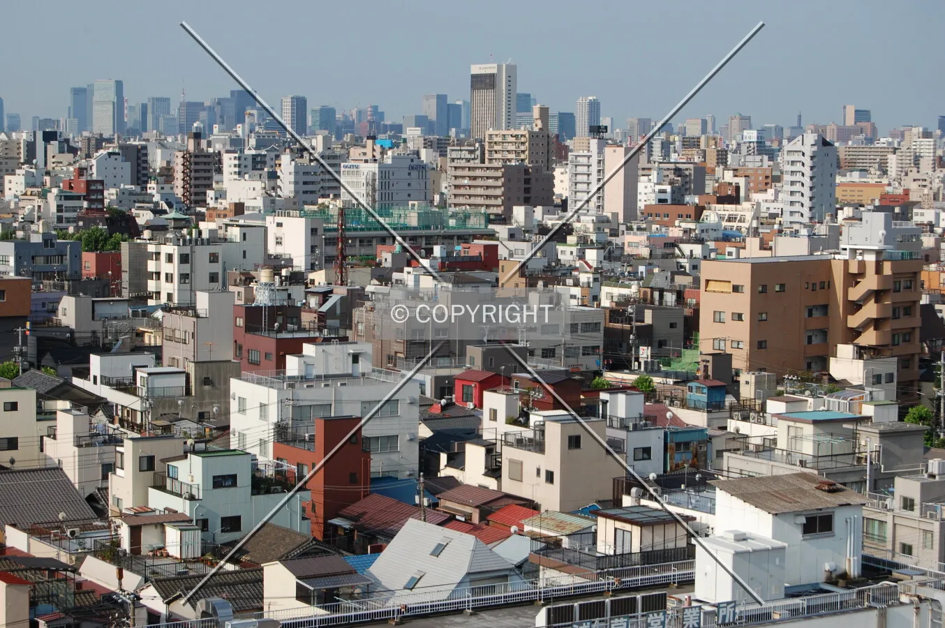 Photo 146-435-754