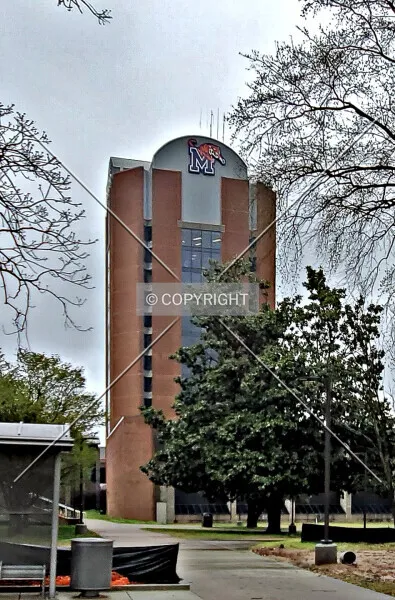 Photo 146-455-290