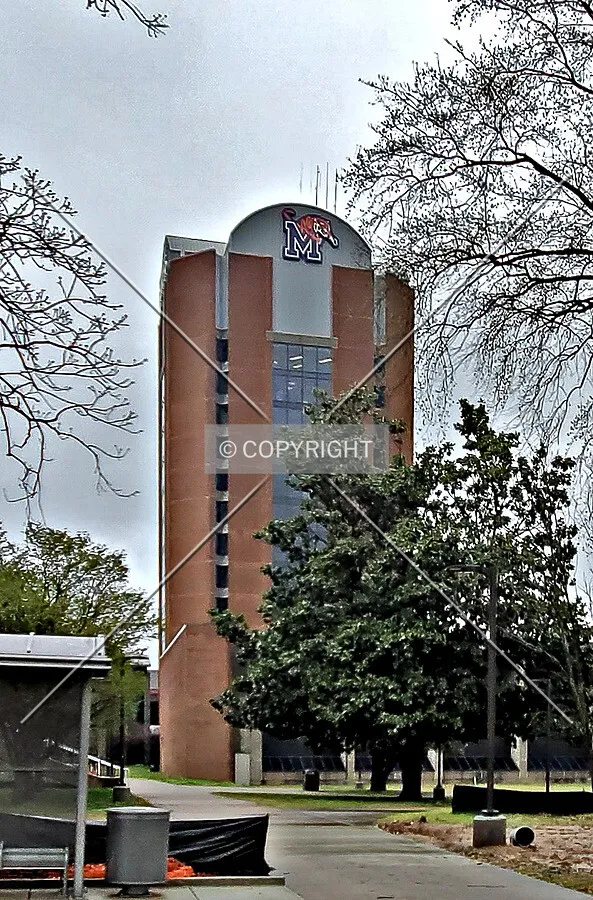 Southwest view; March 18, 2020