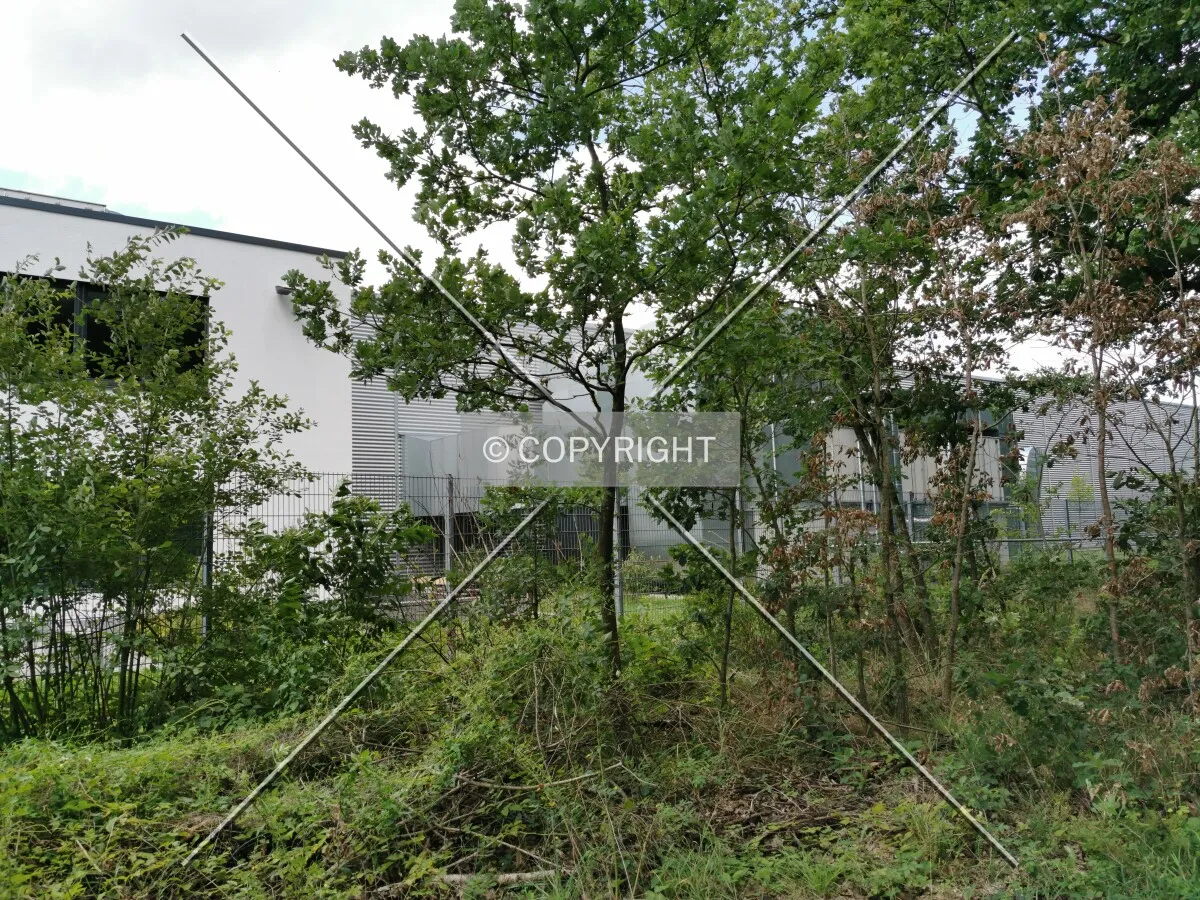 Photo 146-527-266