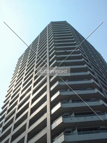 Photo 146-532-793