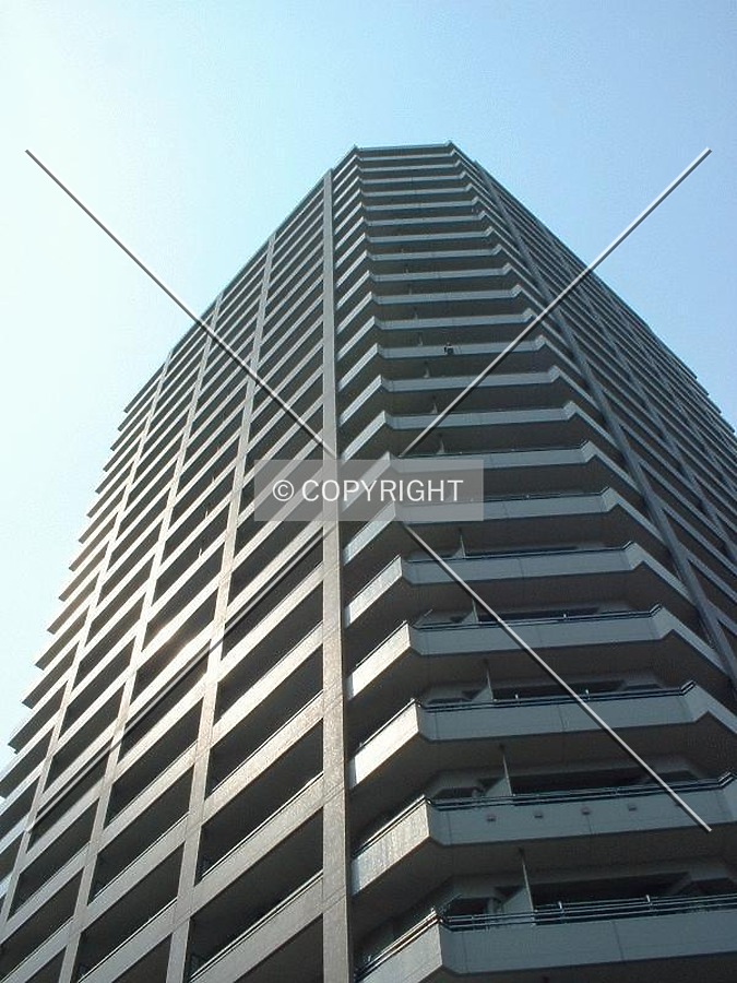 Photo 146-532-793
