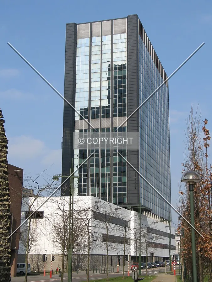 View from the south