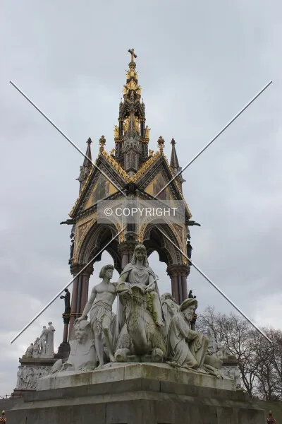Photo 146-822-242