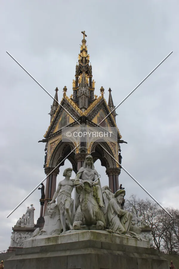 Photo 146-822-242