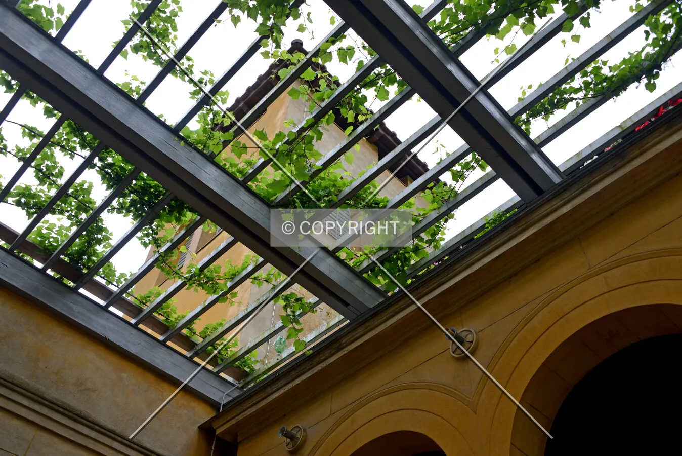 View looking up