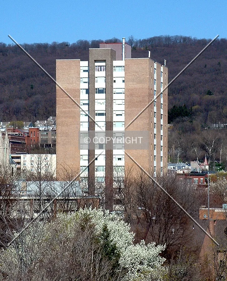 View from the southwest