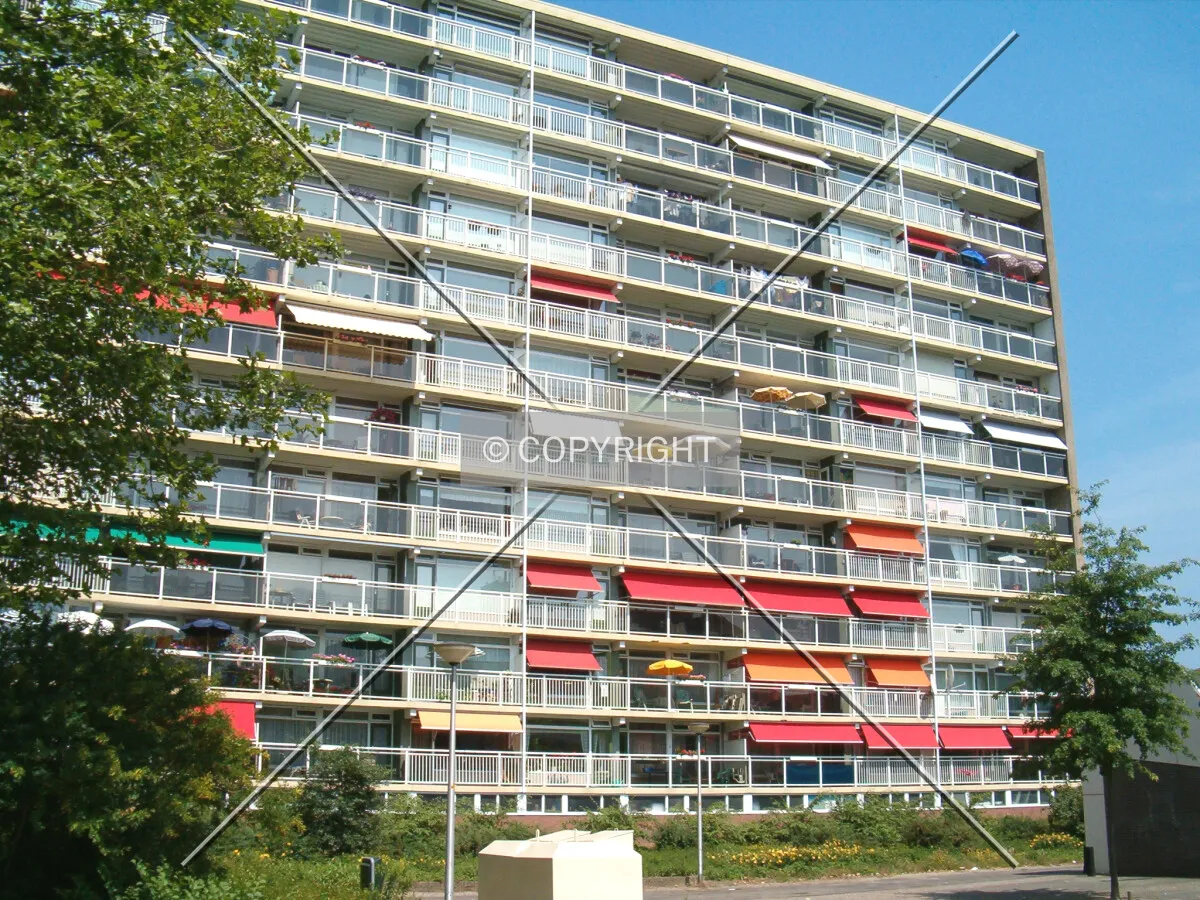 View from Dreef