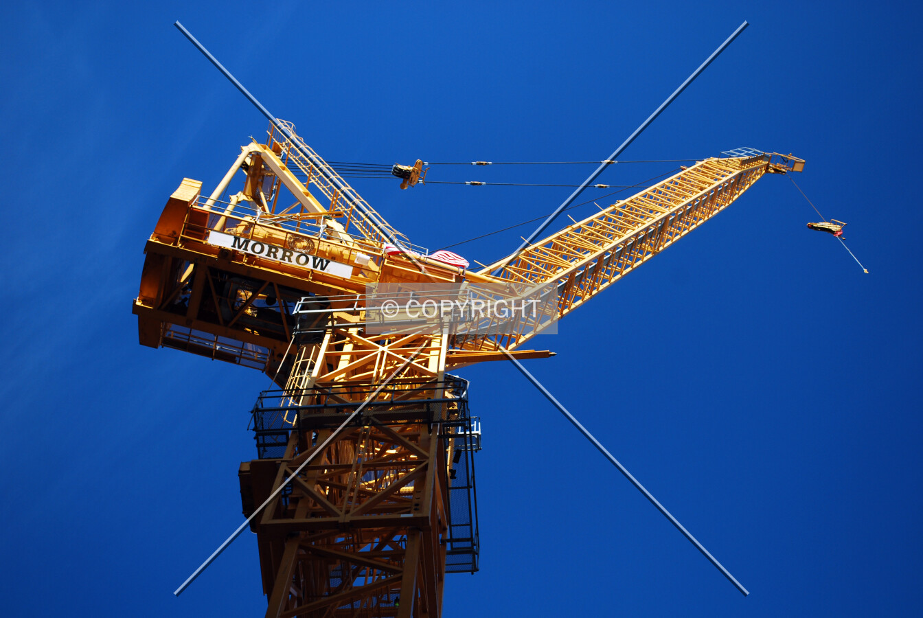 Crane in place
