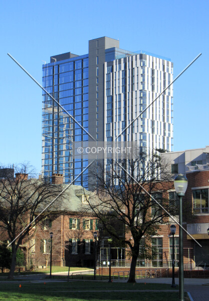 Photo 146-971-414