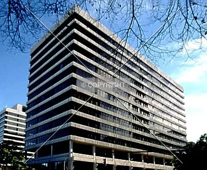 Photo 146-974-613