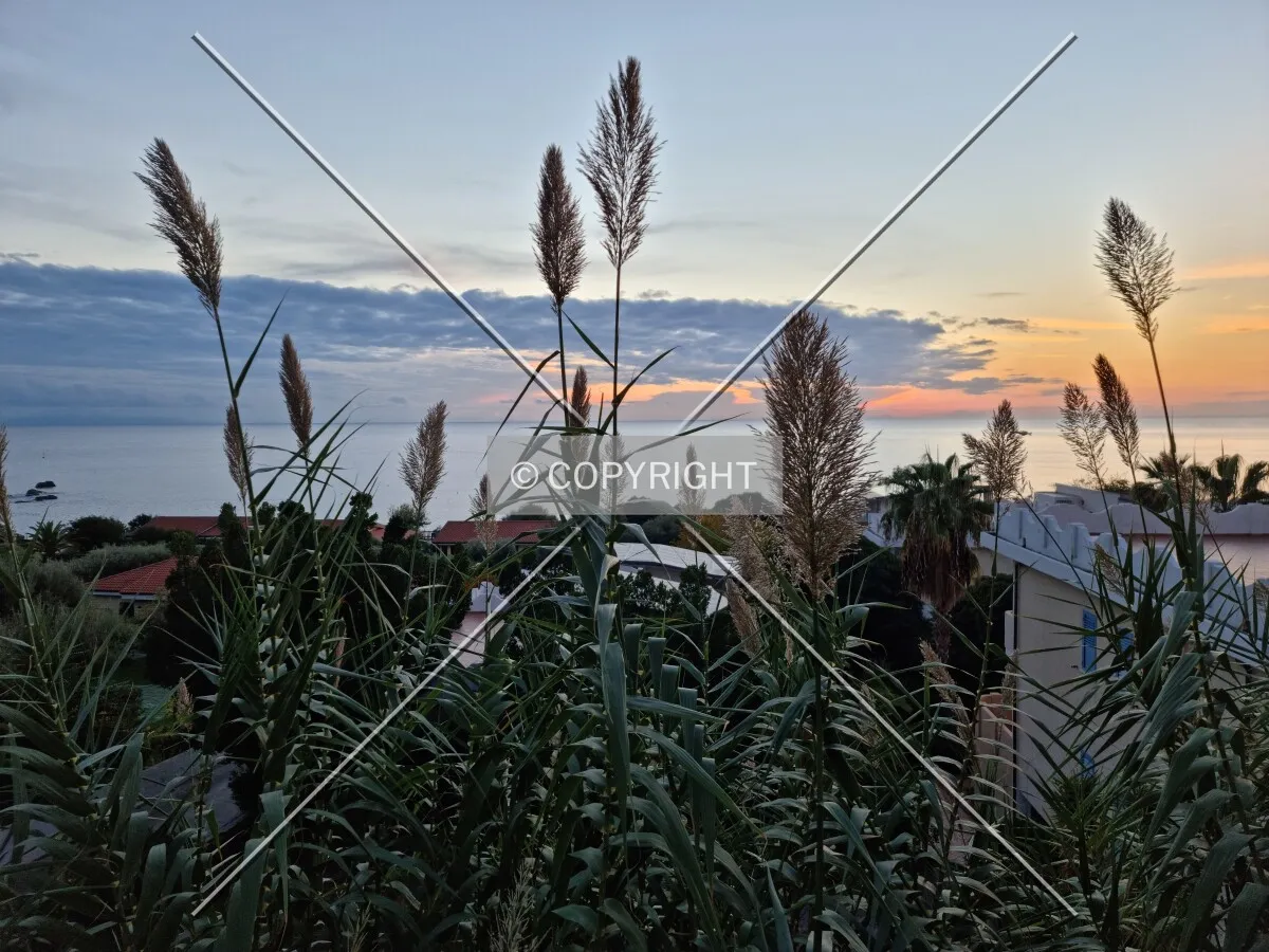 Photo 147-241-250