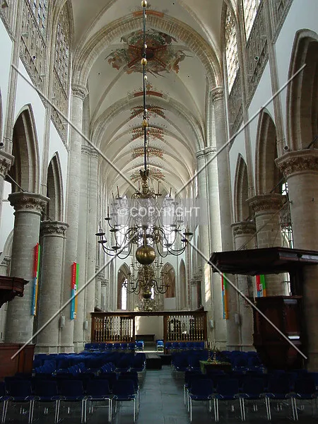 Photo 147-642-768
