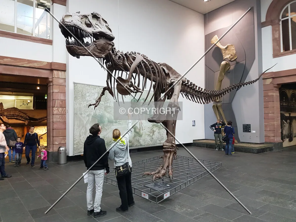 Photo 014-776-606