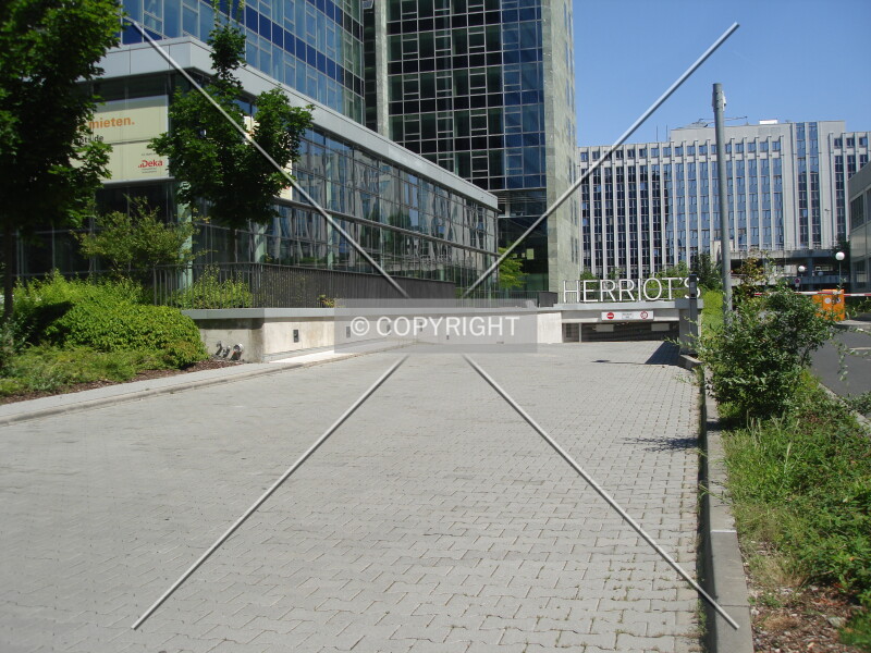 Photo 147-969-562