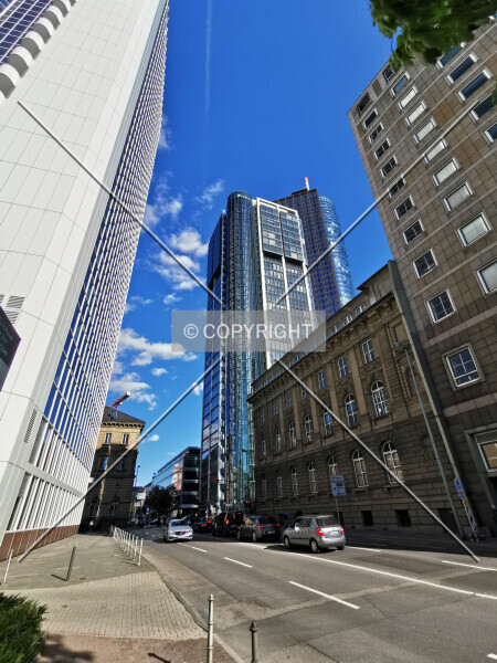 Photo 148-250-461