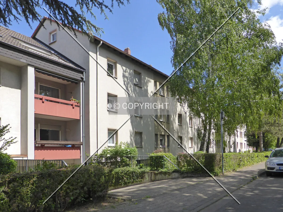 Photo 148-460-969