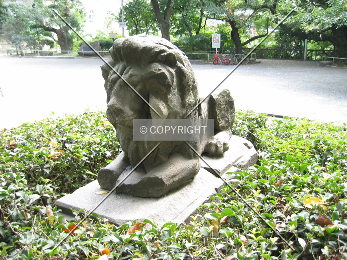 Photo 148-542-339