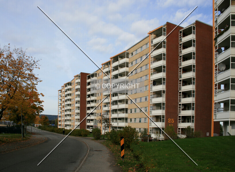 Photo 148-829-620