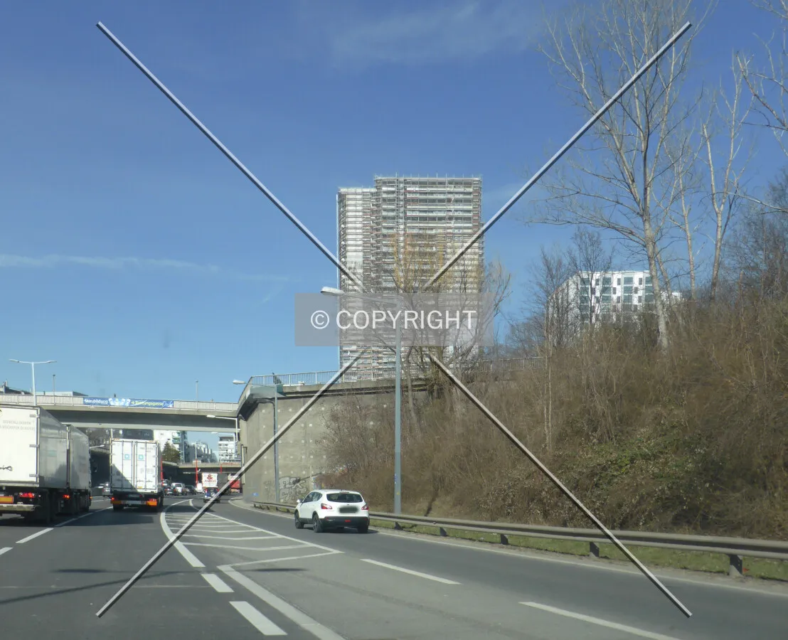 Photo 148-972-393