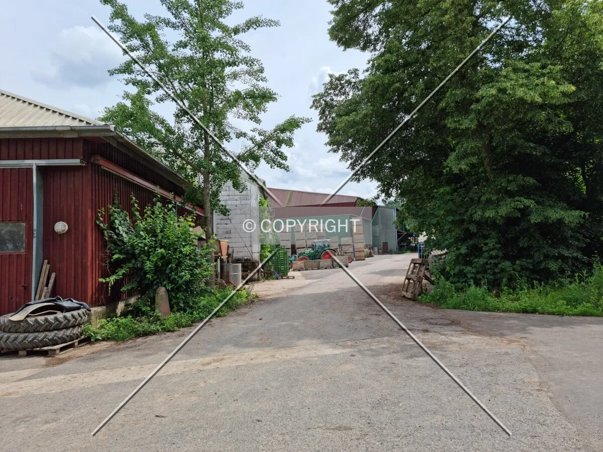 Photo 149-071-971