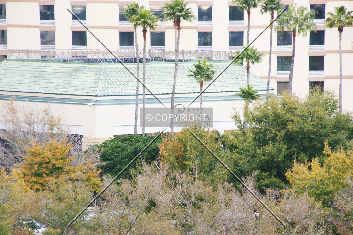 Photo 149-254-475