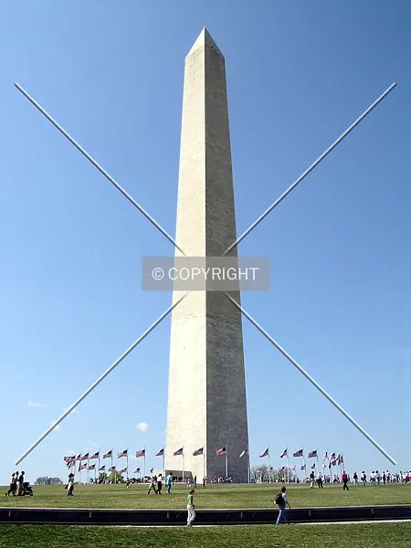 Photo 149-320-848