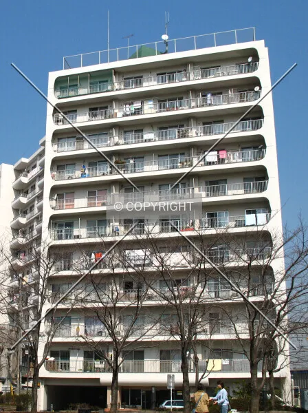 Photo 149-344-741